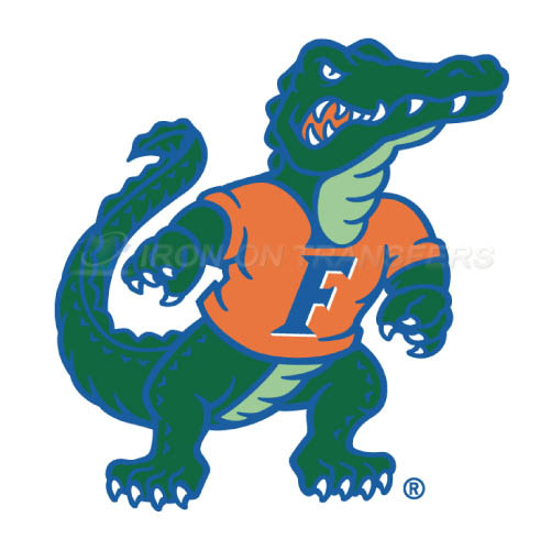 Florida Gators Logo T-shirts Iron On Transfers N4384